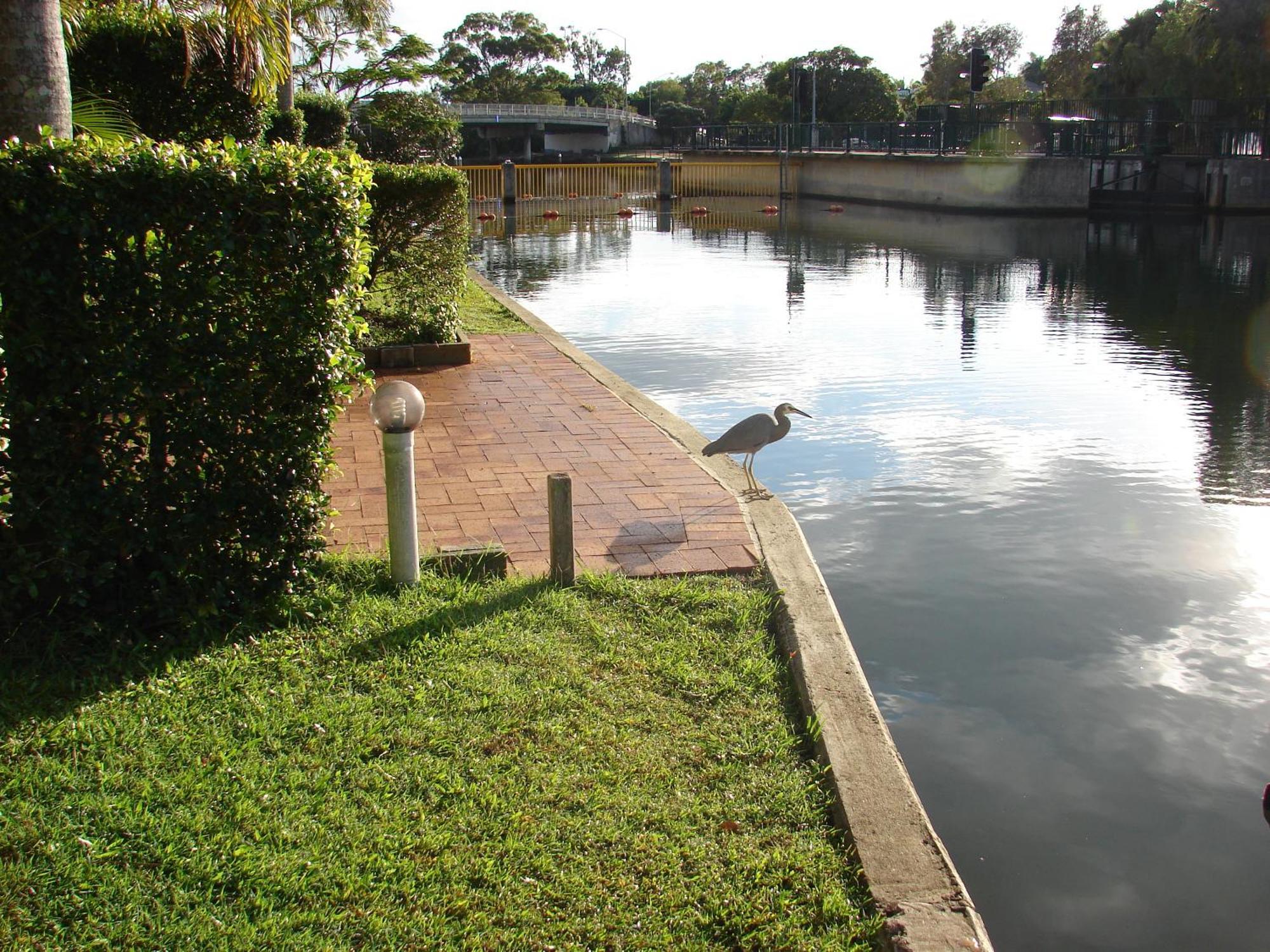 Portside Noosa Waters Hotel Noosaville Exterior foto